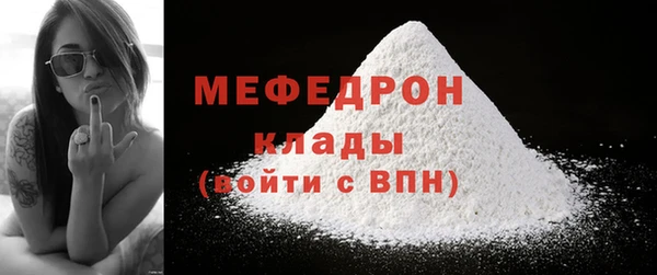 индика Козельск