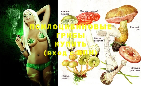 хмурый Козловка