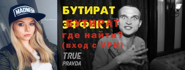 индика Козельск