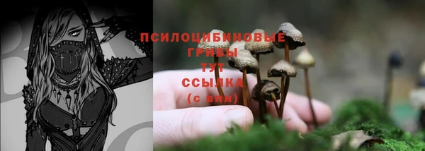 трава Кодинск
