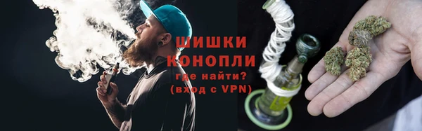 индика Козельск