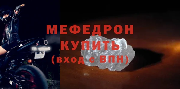 индика Козельск