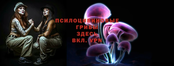 индика Козельск