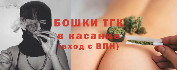 индика Козельск