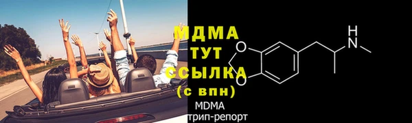 индика Козельск