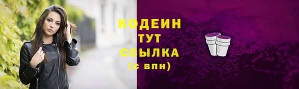 хмурый Козловка