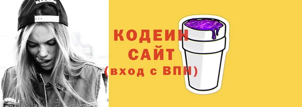 индика Козельск