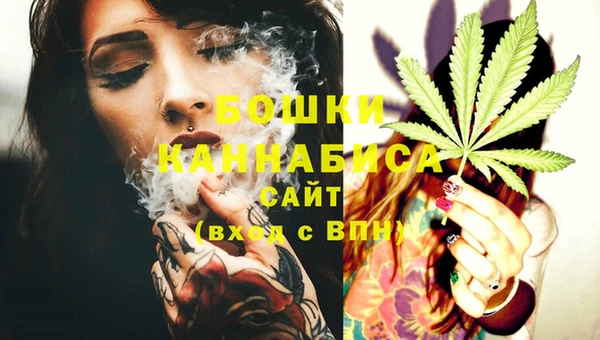 хмурый Козловка