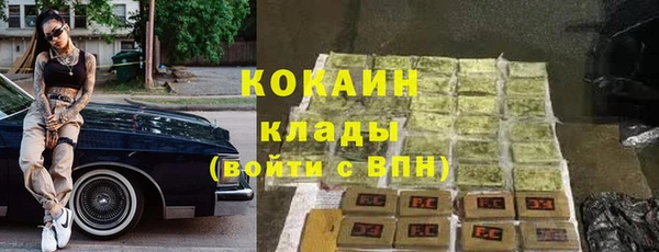 трава Кодинск