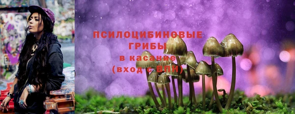 трава Кодинск